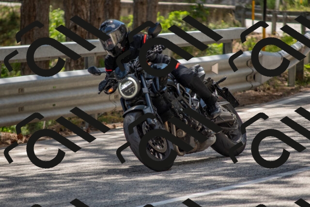 202506281526-DSC_6086_c4_