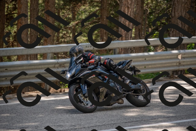 202506281529-DSC_6091_c4_