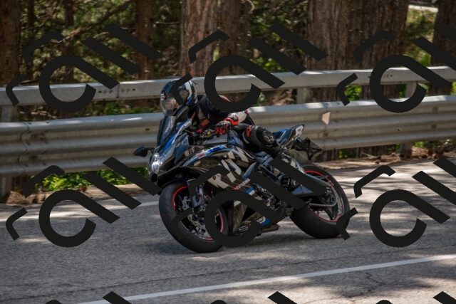 202506281529-DSC_6095_c4_