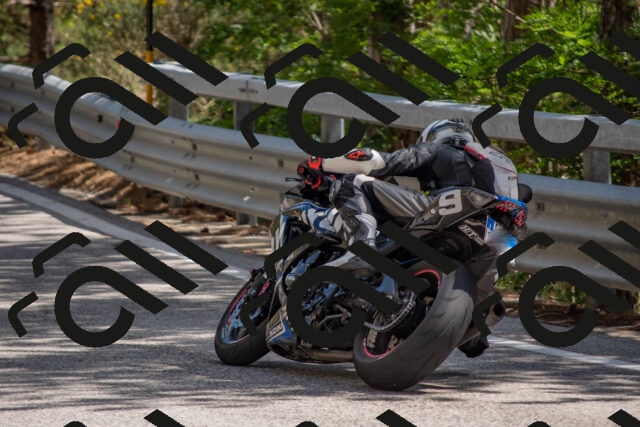 202506281529-DSC_6097_c4_