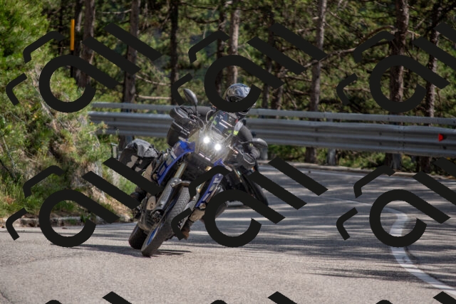 202506281531-DSC_6099_c4_