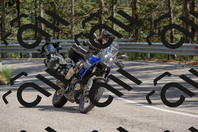 202506281531-DSC_6100_c4_