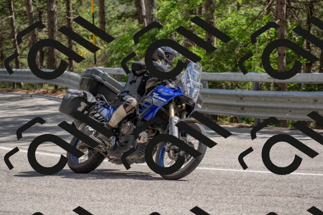 202506281531-DSC_6101_c4_