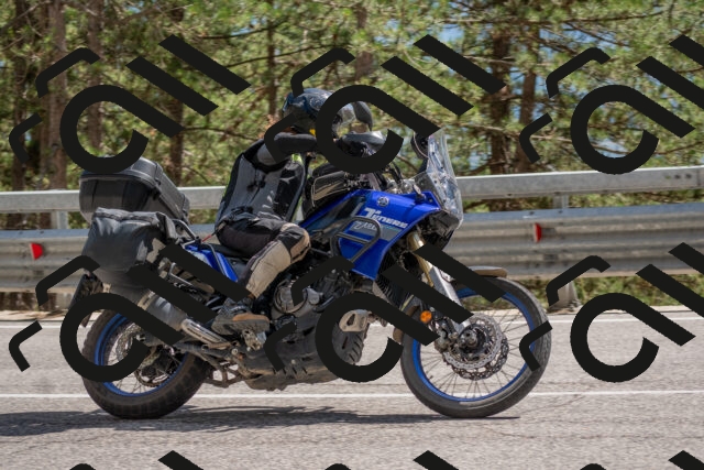 202506281531-DSC_6102_c4_