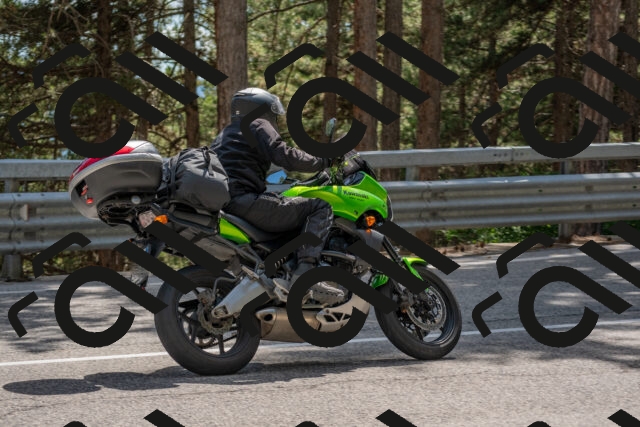 202506281532-DSC_6109_c4_