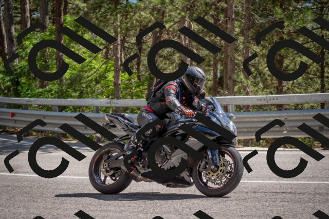 202506281536-DSC_6113_c4_