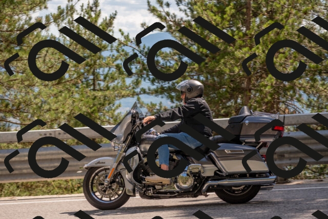 202506281537-DSC_6129_c4_