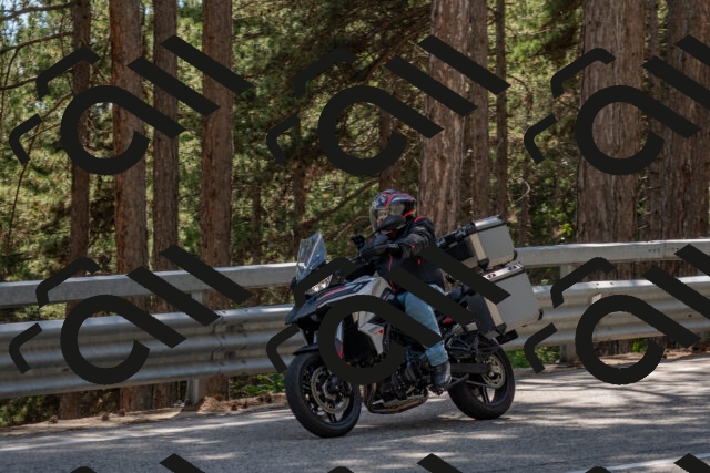 202506281537-DSC_6134_c4_