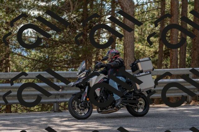 202506281538-DSC_6135_c4_