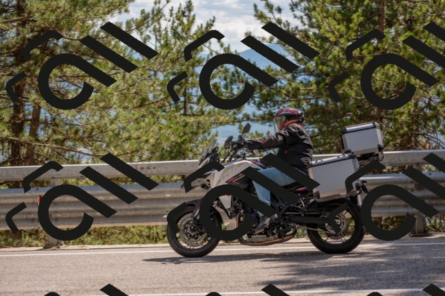 202506281538-DSC_6137_c4_