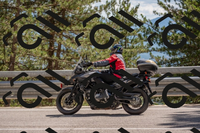 202506281538-DSC_6139_c4_