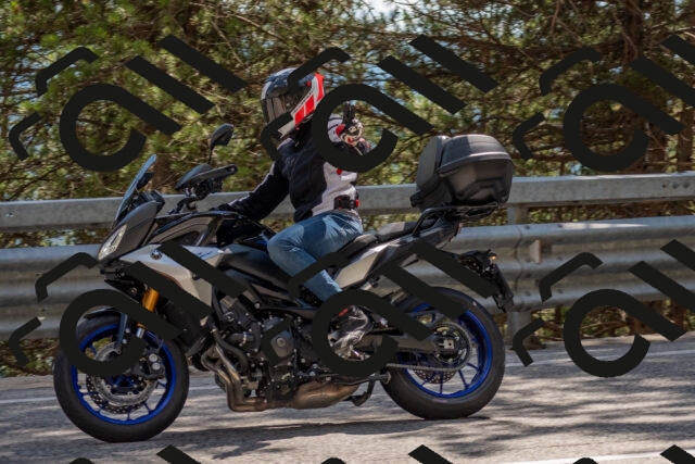 202506281539-DSC_6144_c4_