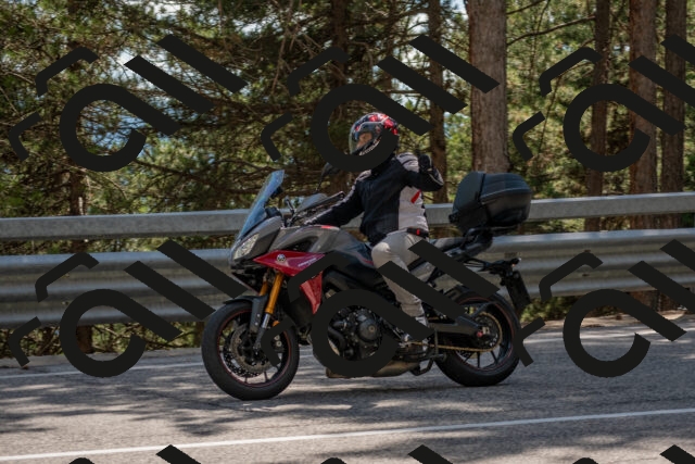 202506281539-DSC_6146_c4_