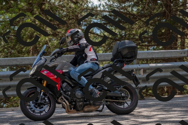 202506281539-DSC_6152_c4_