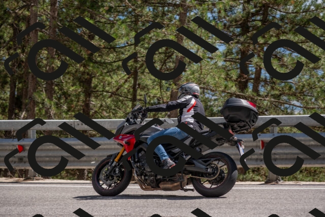 202506281539-DSC_6154_c4_