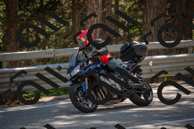 202506281543-DSC_6160_c4_