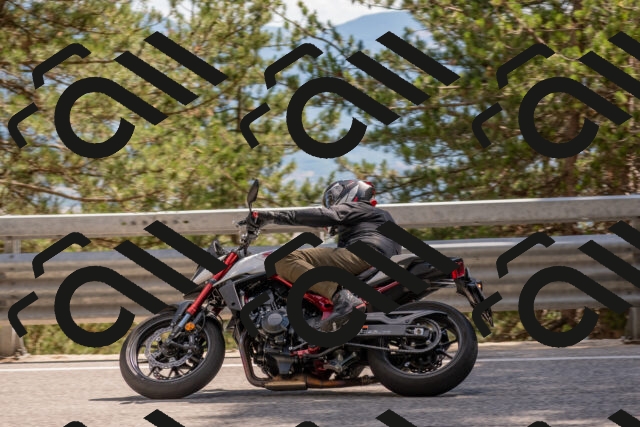 202506281548-DSC_6185_c4_