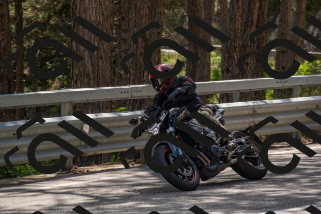 202506281549-DSC_6203_c4_