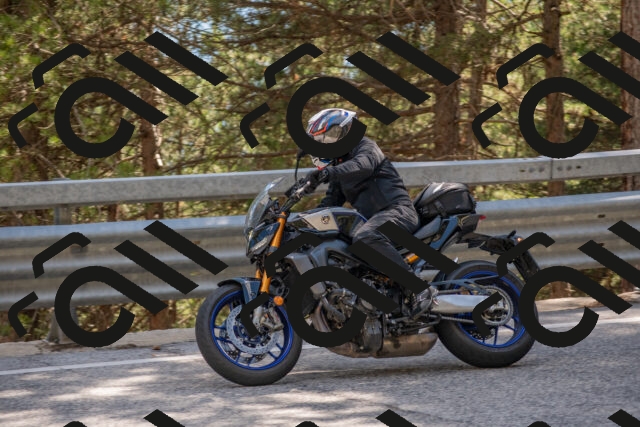 202506281552-DSC_6233_c4_