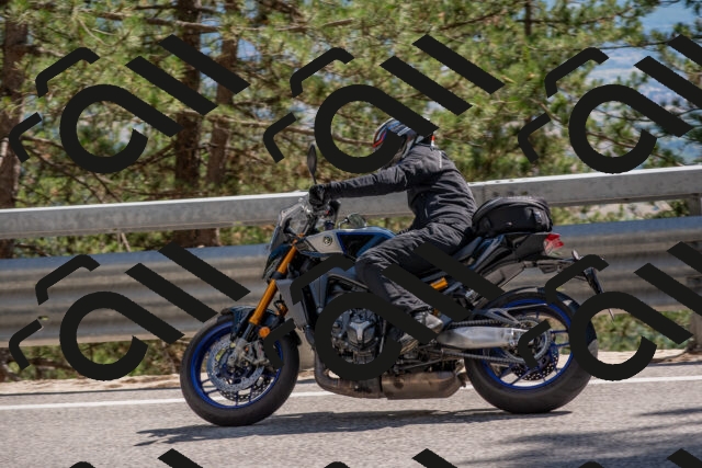 202506281552-DSC_6234_c4_