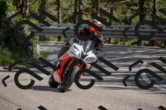 202506281557-DSC_6240_c4_