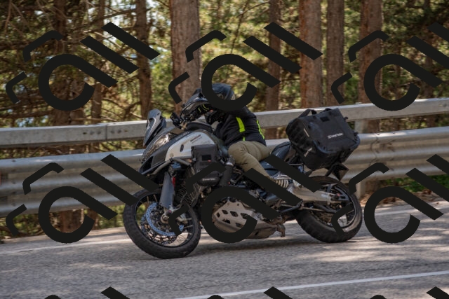 202506281557-DSC_6256_c4_