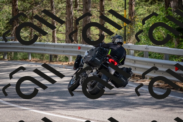 202506281557-DSC_6258_c4_