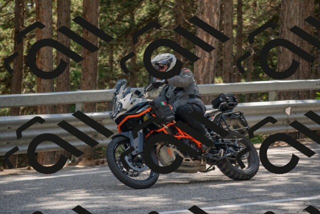 202506281558-DSC_6260_c4_