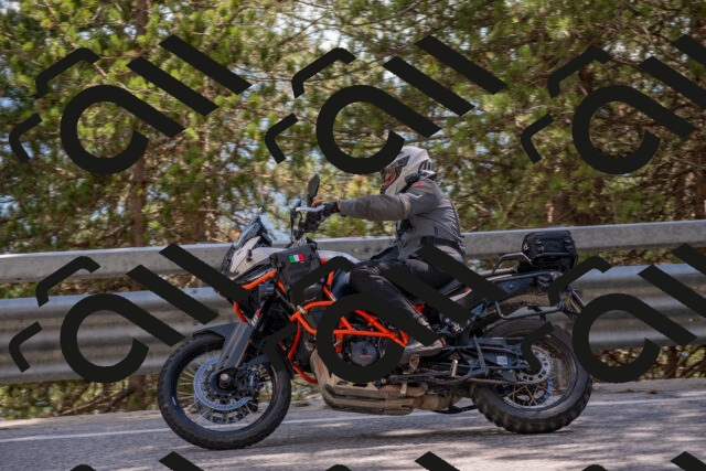 202506281558-DSC_6261_c4_