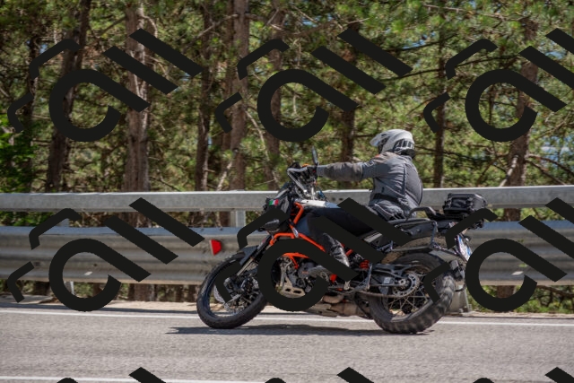 202506281558-DSC_6262_c4_