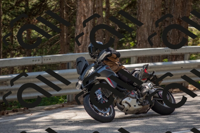 202506281559-DSC_6275_c4_