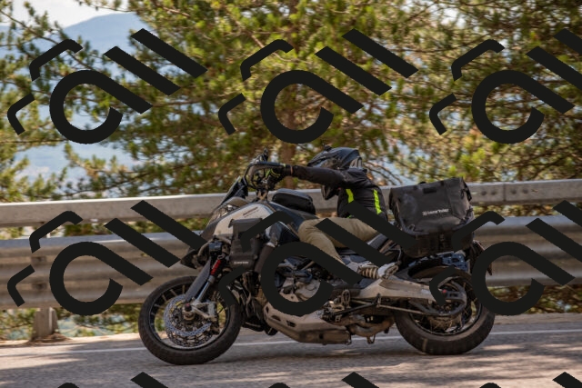 202506281559-DSC_6278_c4_