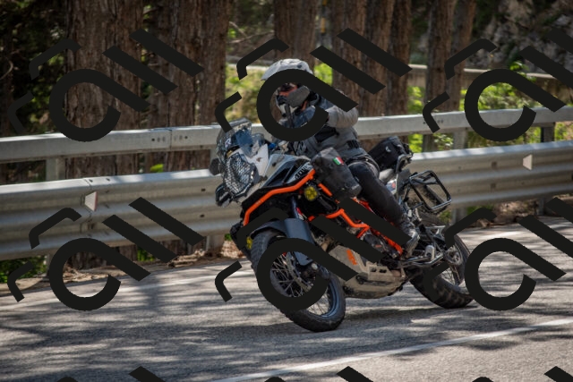 202506281559-DSC_6280_c4_