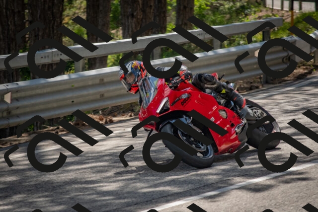 202506281603-DSC_6298_c4_