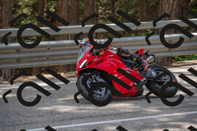 202506281603-DSC_6299_c4_