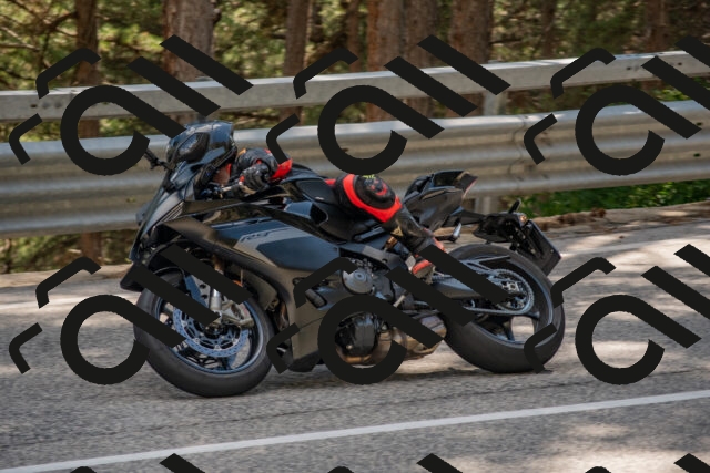 202506281603-DSC_6300_c4_