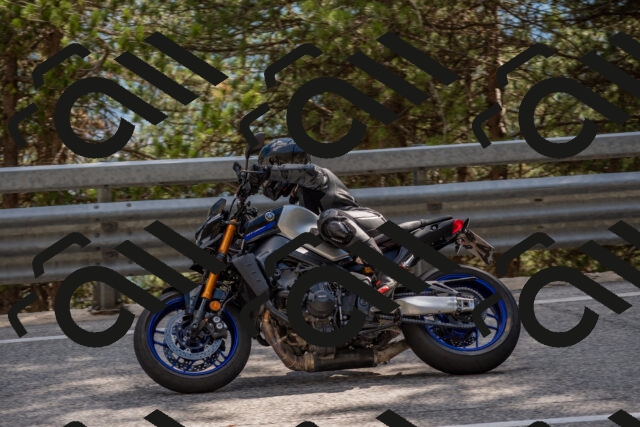 202506281604-DSC_6303_c4_