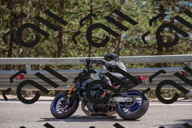 202506281604-DSC_6304_c4_