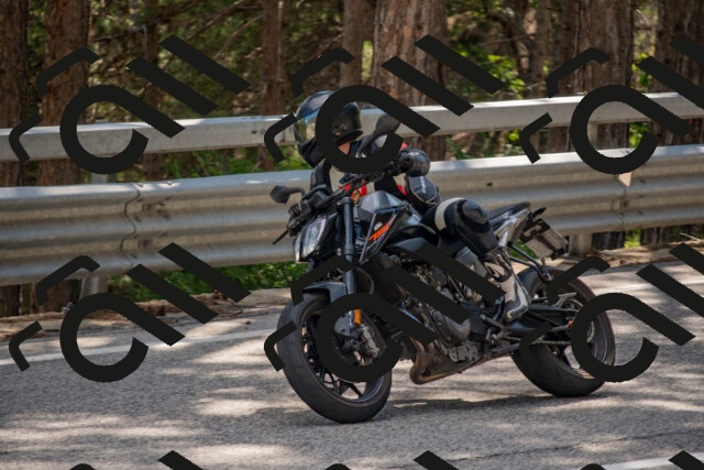 202506281604-DSC_6305_c4_