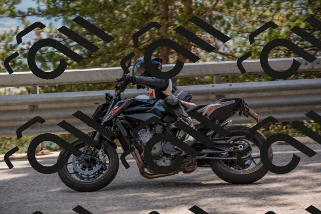 202506281604-DSC_6306_c4_