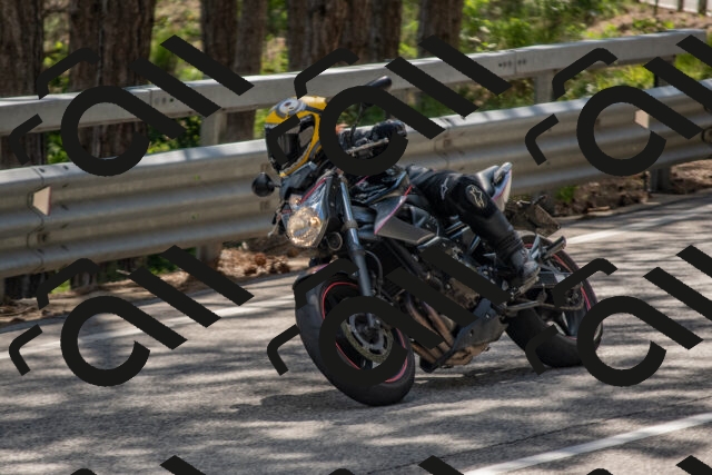 202506281604-DSC_6308_c4_