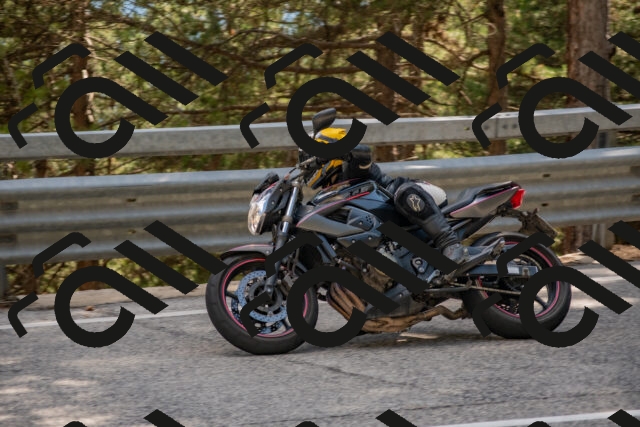 202506281604-DSC_6309_c4_