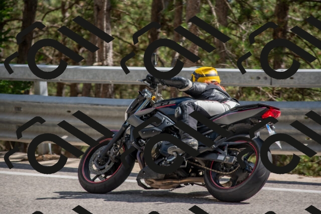 202506281604-DSC_6310_c4_