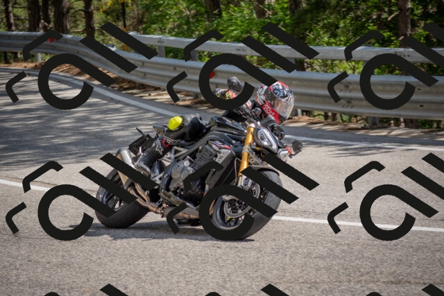 202506281604-DSC_6313_c4_