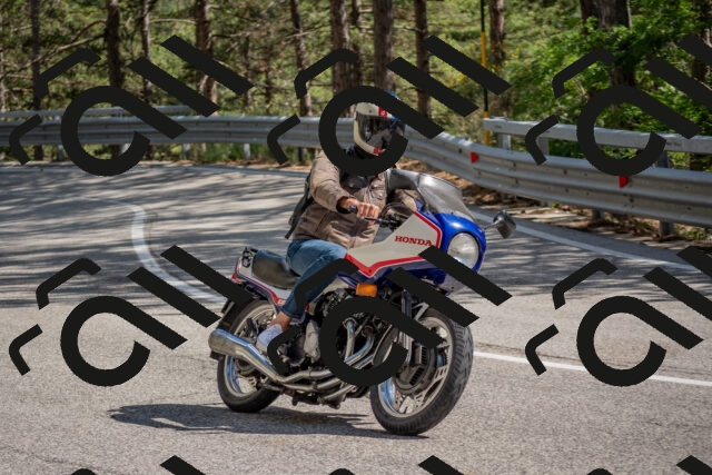 202506281605-DSC_6321_c4_