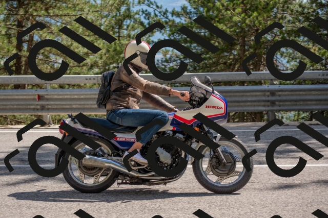 202506281605-DSC_6323_c4_