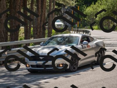 202506281606-DSC_6325_c4_