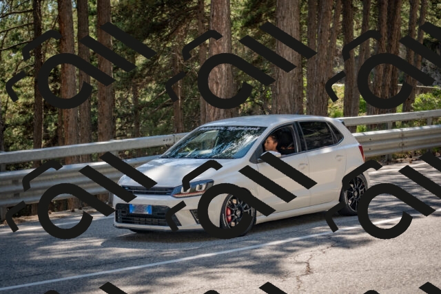 202506281607-DSC_6331_c4_