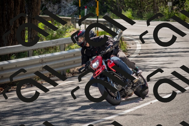 202506281610-DSC_6347_c4_