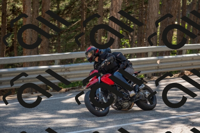 202506281610-DSC_6348_c4_